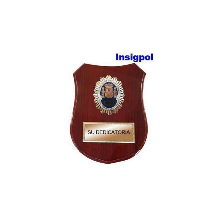 metopa-director-seguridad-privada