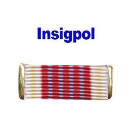 LION XIII MEDAL RIBBON