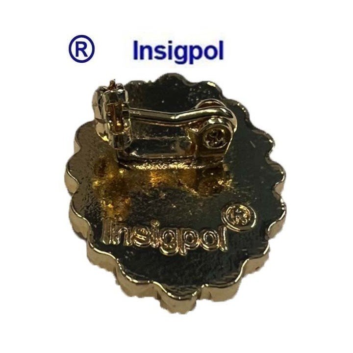pin-seguridad-privada