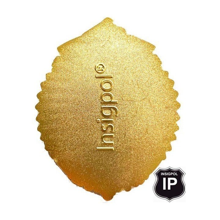 placa-interpol