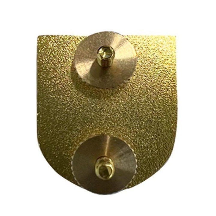 NATIONAL POLICE JUDICIAL POLICE  FUNCTION BADGE