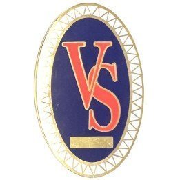 SPANISH PRIVATE SECURITY VS BADGE
