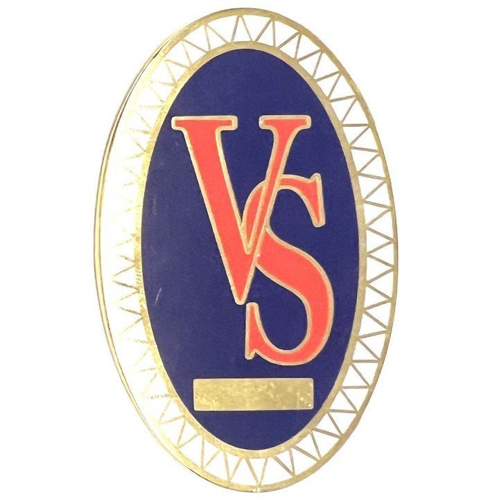 PLACA -NSIGNIA-VIGILANTE-SEGURIDAD VS -SIN-RAFAGADO-