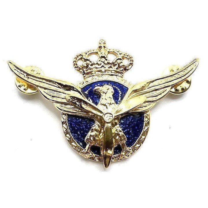 ROKISKI-PILOTO-AVIACION-COMERCIAL