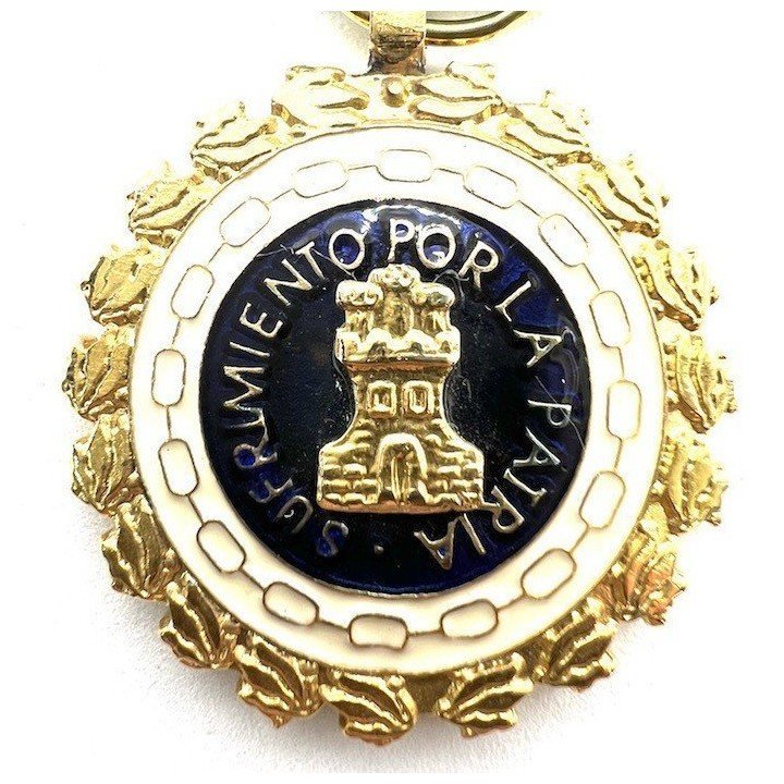 SUFFERINGS-PEACE-TIME-MEDAL-2