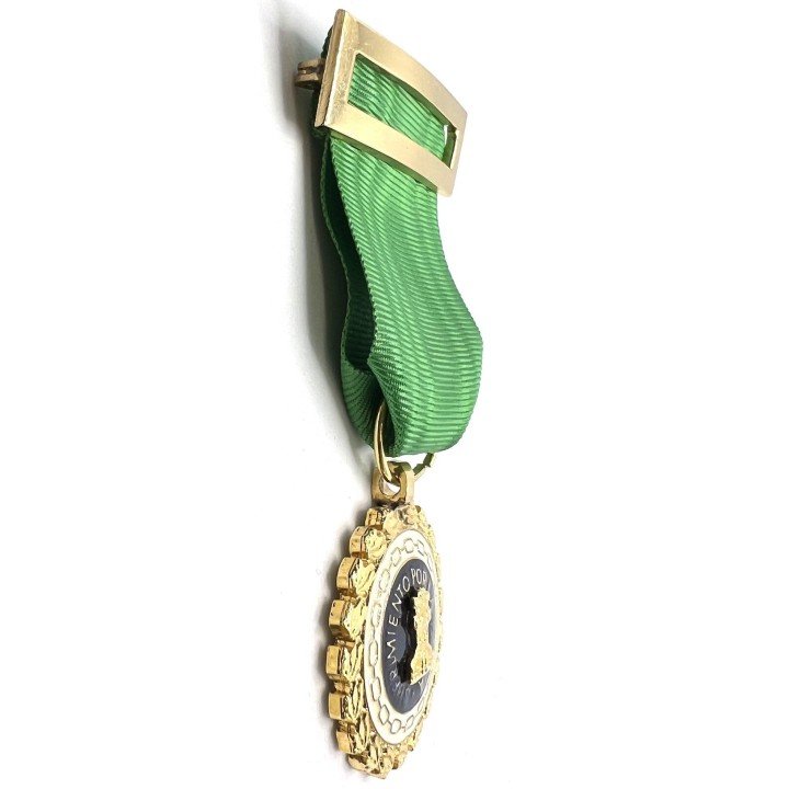 SUFFERINGS-PEACE-TIME-MEDAL-4