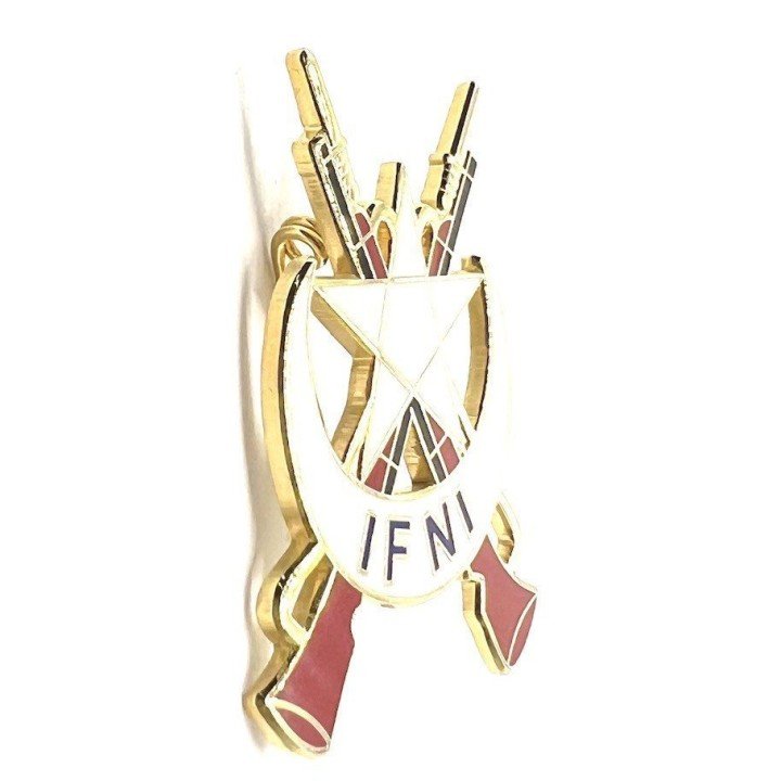 PIN-IFNI-2