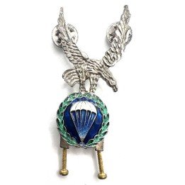 paretroopers-bripac-badge