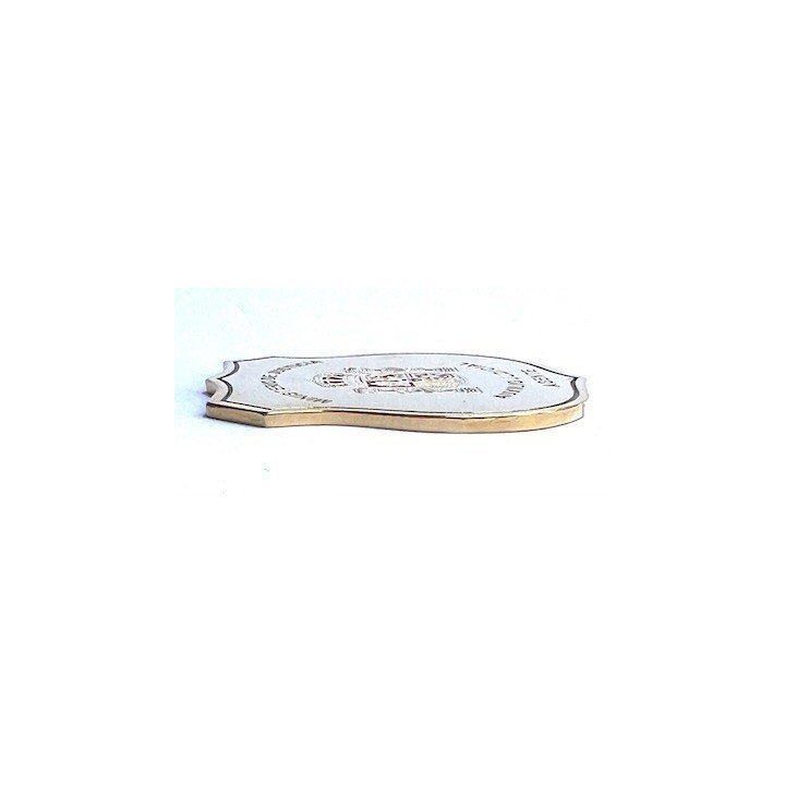 JUDICIAL ASSISTANCE OFFICER BADGE