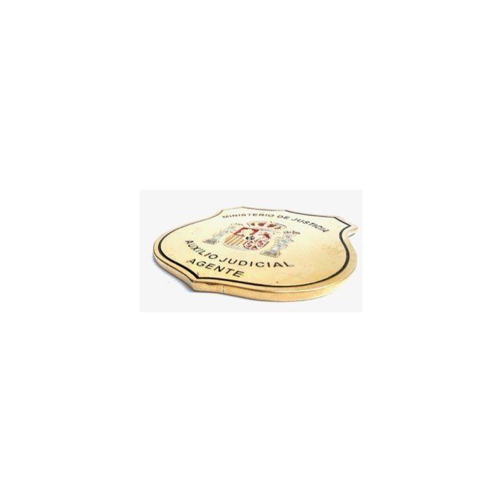 JUDICIAL ASSISTANCE OFFICER BADGE