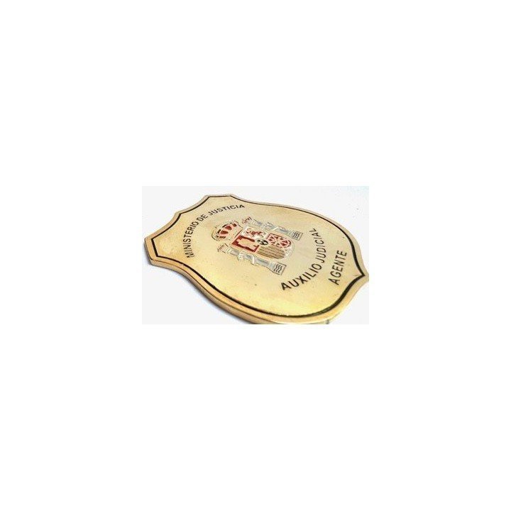 JUDICIAL ASSISTANCE OFFICER BADGE