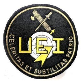 CIVIL GUARD UEI PATCH