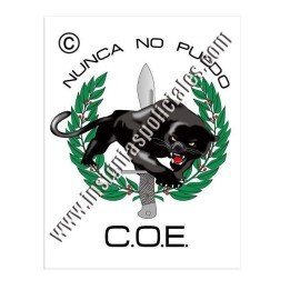 militar-coe-41-sticker