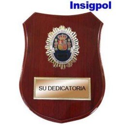 metopa-director-seguridad-privada