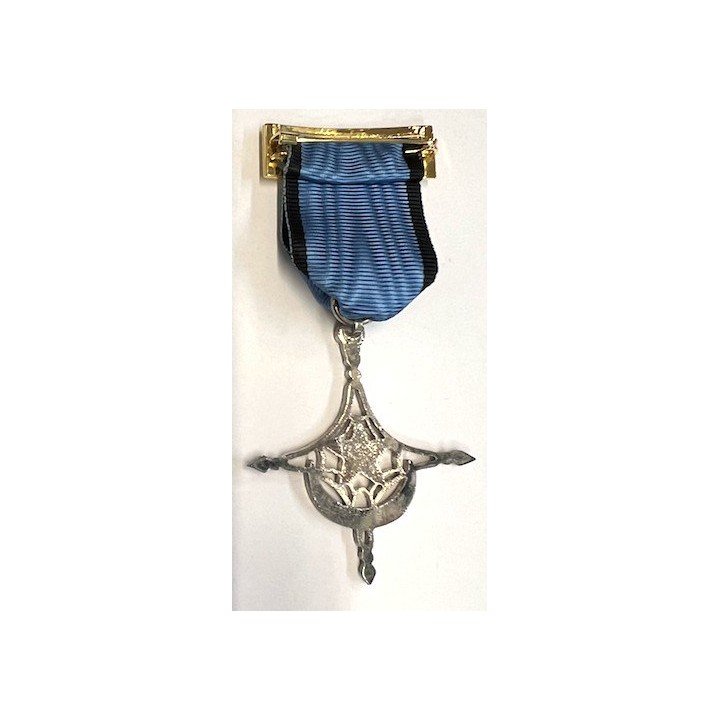 COMBAT ZONE  SAHARA MEDAL