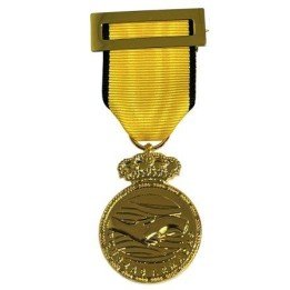 DANA 2024 Commemorative Medal