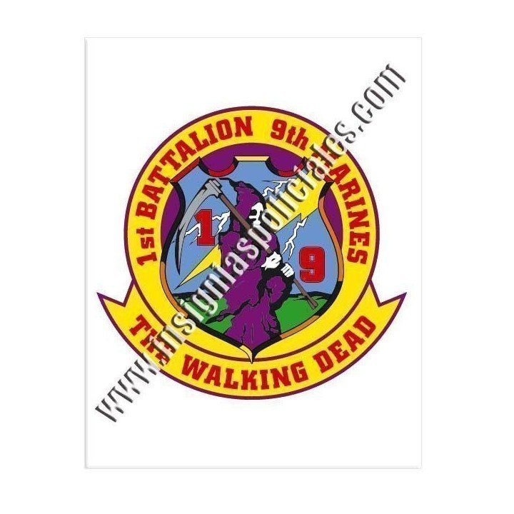 1st-battalion-9th-regiment-marines-usa-sticker