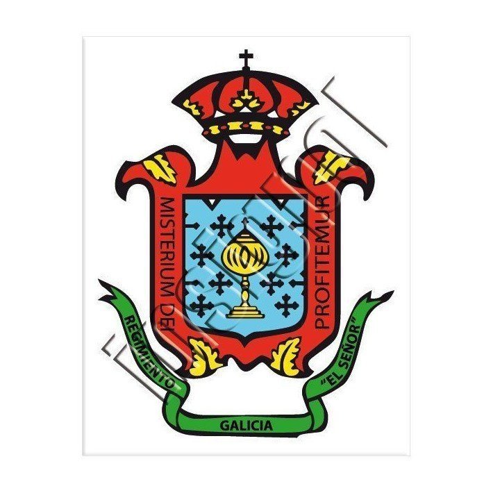 adhesivo-RCZM-galicia-64
