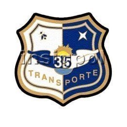 parche-ala-35