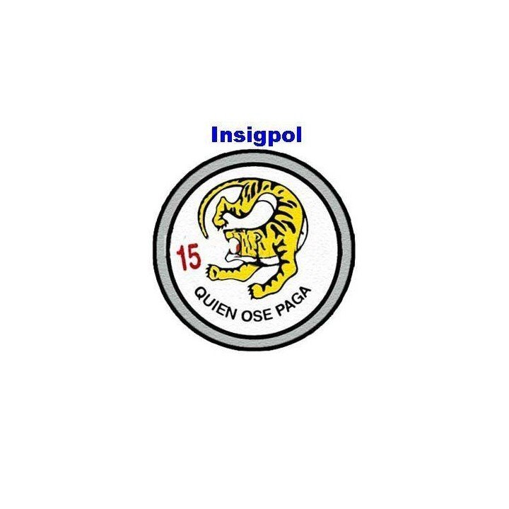 ALA 15 AIR FORCE SQUADRON PATCH