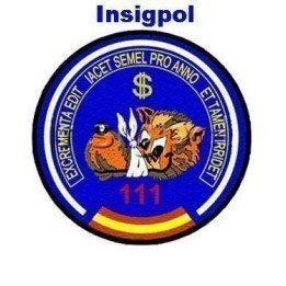 11 WING  - 111 AIR FORCE SQUADRON PATCH