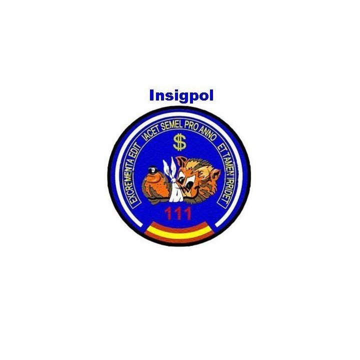 11 WING  - 111 AIR FORCE SQUADRON PATCH