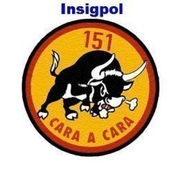 WING 15 - 151 AIR FORCE SQUADRON PATCH