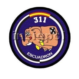 ALA 31 - 311 AIR FORCE SQUADRON PATCH