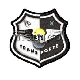 parche-ala-31