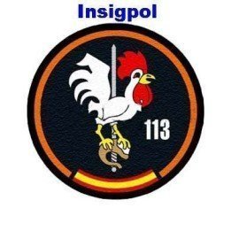 ALA 11 - 113 AIR FORCE SQUADRON PATCH