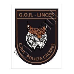 adhesivo-cnp-gor-lince-caceres