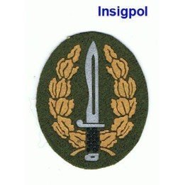 COE BERET PATCH