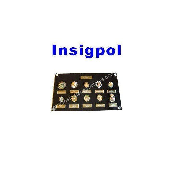 CUADRO VITRINA INSIGNIAS POLICIALES ESPAÑA