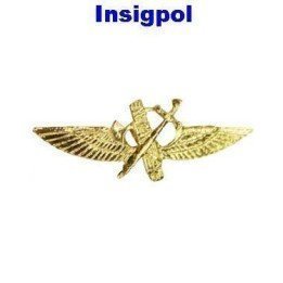 pin-guardia-civil-aire