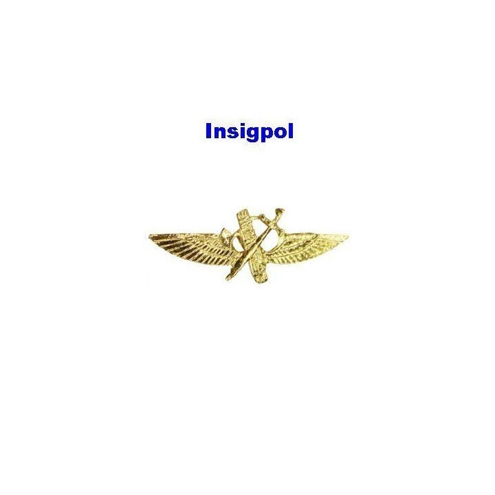 CIVIL GUARD AIR FORCE PIN