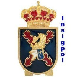 FMA BADGE