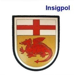 parche-coe-iv-cataluna