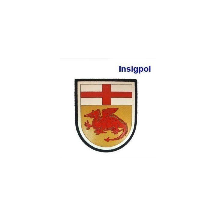 IV COE PATCH
