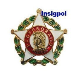 DISTINTIVO-PROFESORADO-ESCALA-OFICIAL