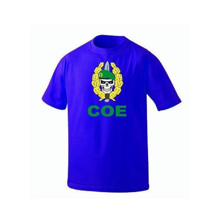camiseta-coe-boina-verde-azul