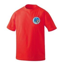 F-16 ISRAEL AIR FORCE T-SHIRT